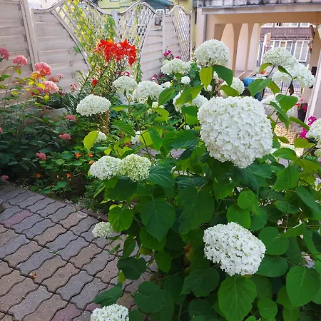 Noclegi Miedzyzdroje * Miedzyzdroje